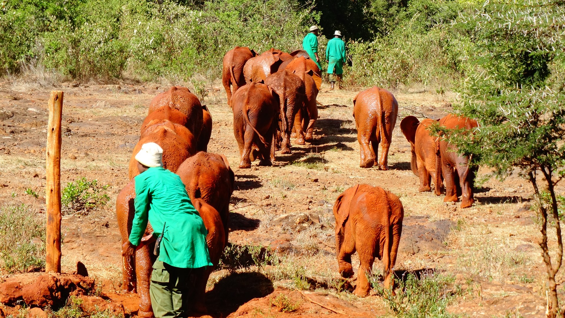 safaris near nairobi